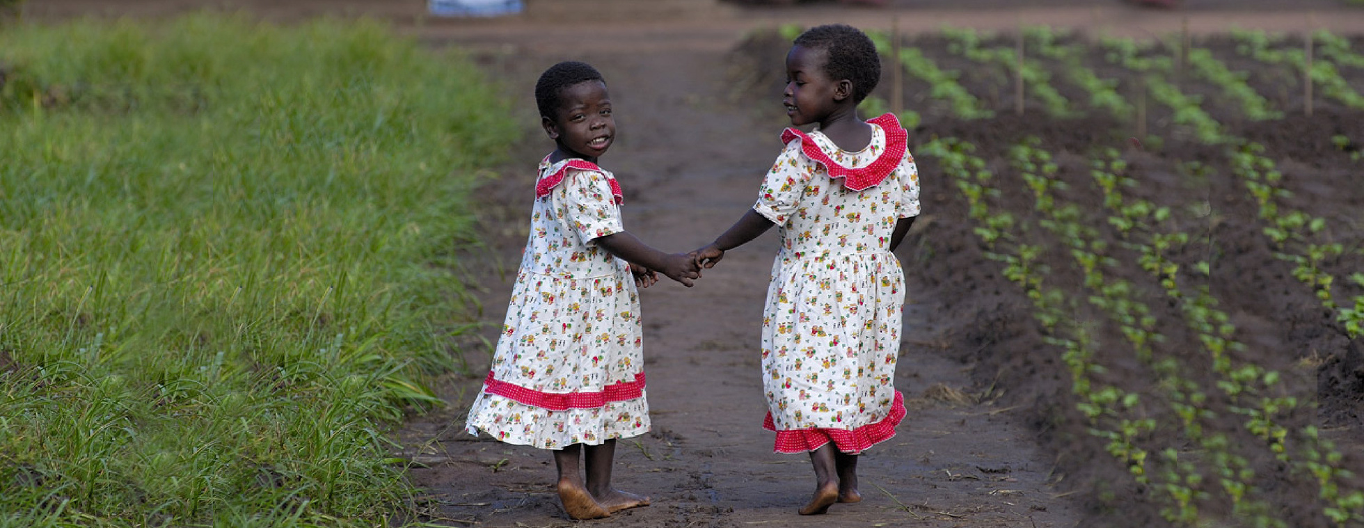 Walk With Us - HRTN's 20th Anniversary Celebration campaign